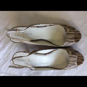 Cole Haan Snake 8B